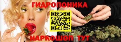 твердый Гатчина